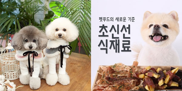 사진제공: (좌) 블리앤모어, (우) 펫다이닝