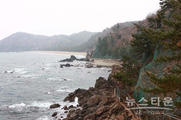 해안 철조망1