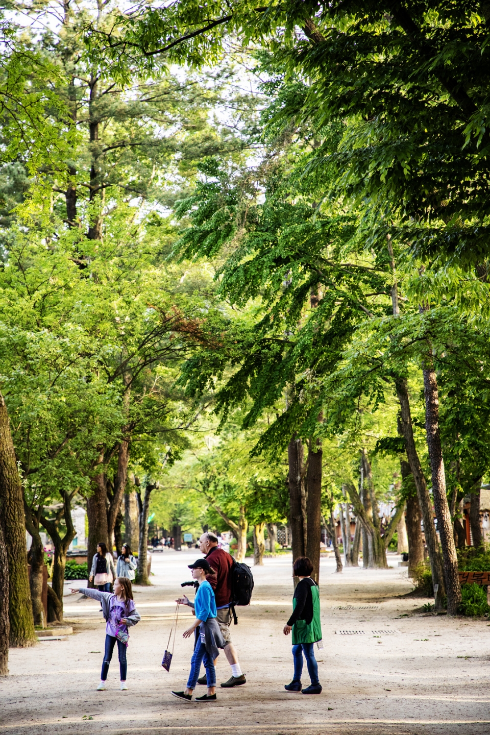 남이섬 자료사진