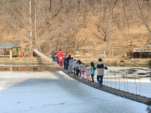 야외체험활동