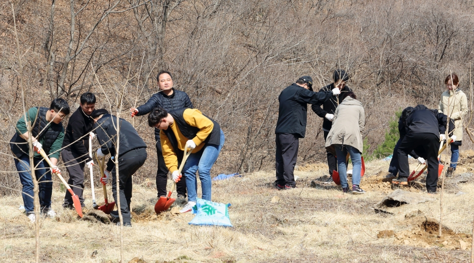 인제군 식목일행사
