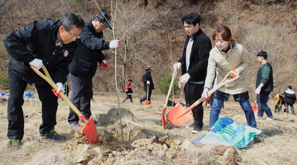 인제군 식목일행사