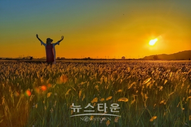한국사진방송, ‘2019 삐리리 삘기대촬영회’ 6월 1일 개최-최태희 작(김한정 기자)