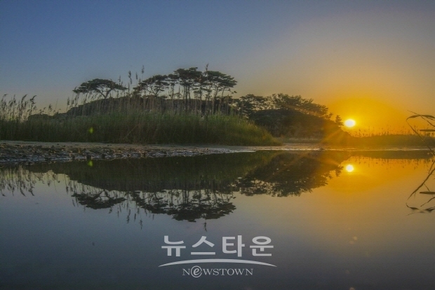 한국사진방송, ‘2019 삐리리 삘기대촬영회’ 6월 1일 개최-최태희 작(김한정 기자)