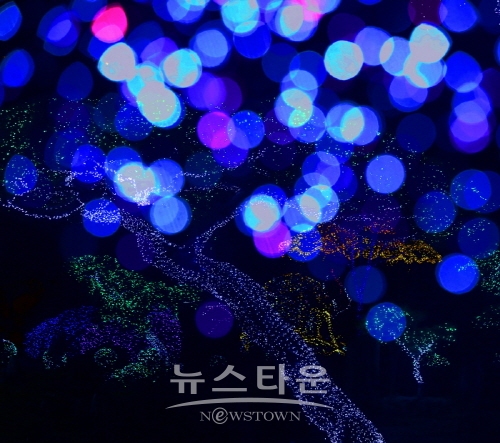김광헌 사진전 ‘은하수의 계수나무’(김한정 기자)