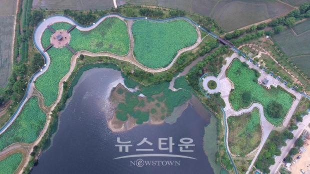 신정호수공원 연꽃단지