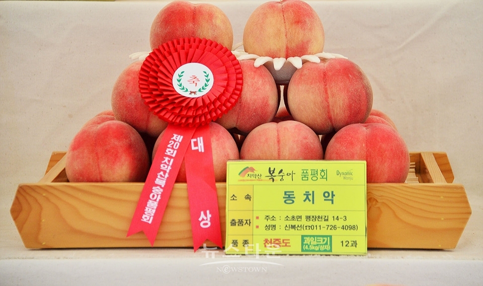 제20회 치악산 복숭아축제