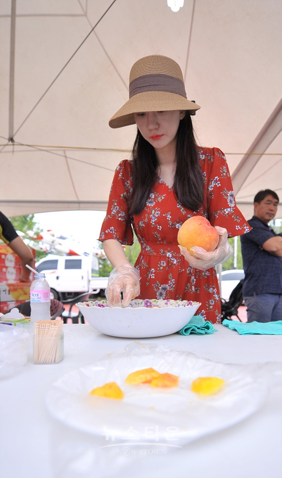 제20회 치악산 복숭아축제