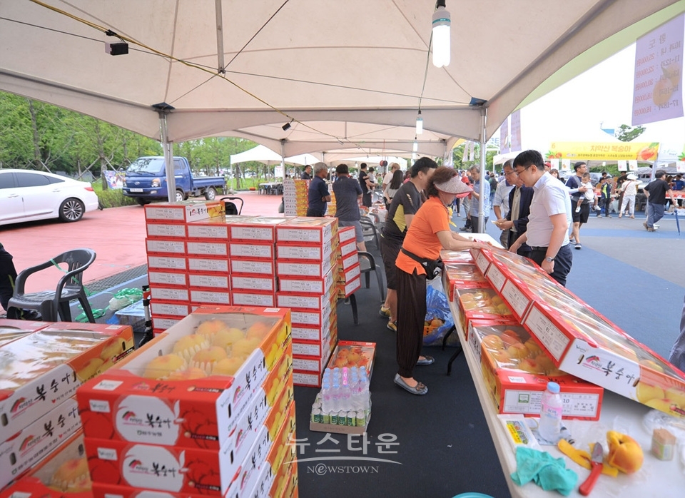 제20회 치악산 복숭아축제