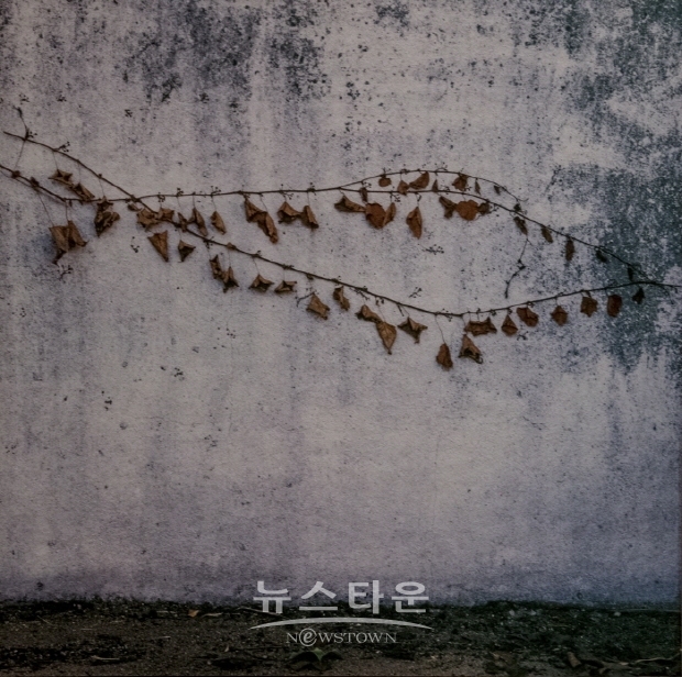 박경순 사진전 '담유화’(김한정 기자)