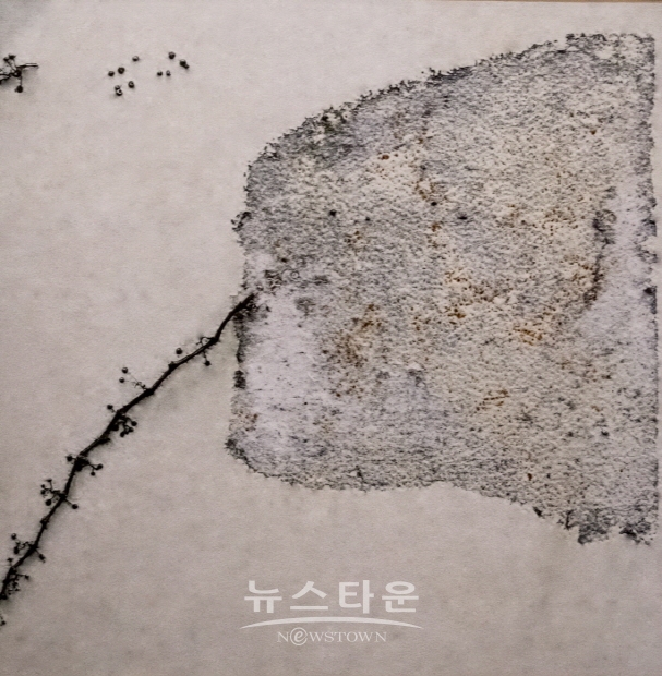 박경순 사진전 '담유화’(김한정 기자)
