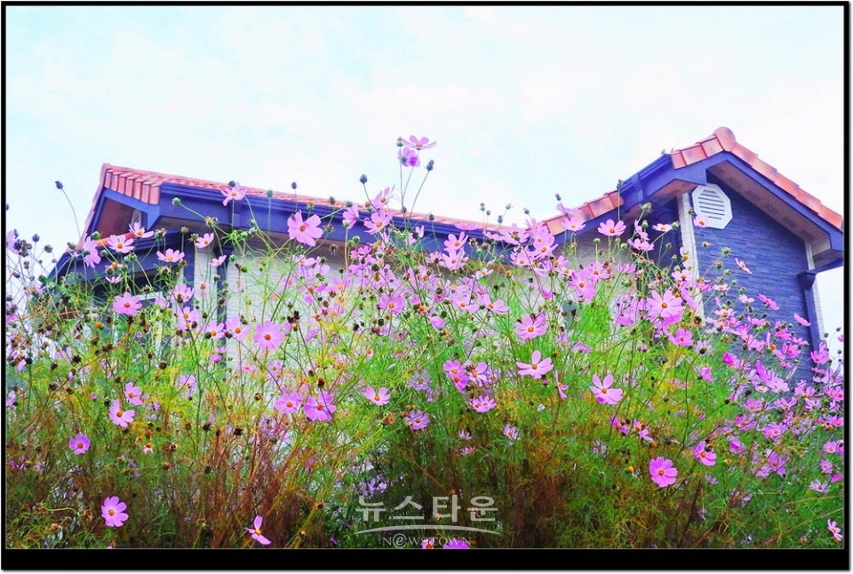 문막읍 건등3리마을