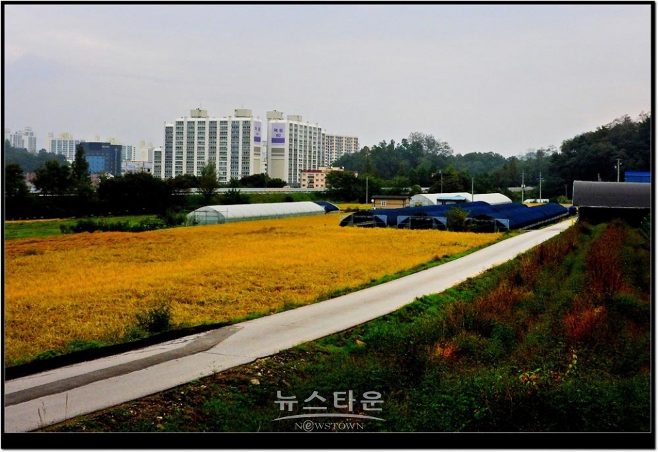 문막읍 건등3리마을