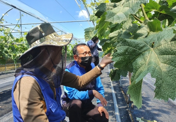 경주시 농업기술센터에서 지난 2019년 귀농인의 조기정착을 위한 농업교육을 실시하고 있는 모습