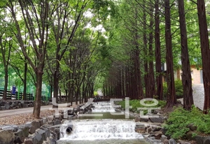 칠갑산자연휴양림