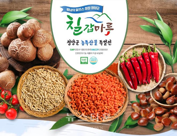 ‘칠갑마루’ 특별전