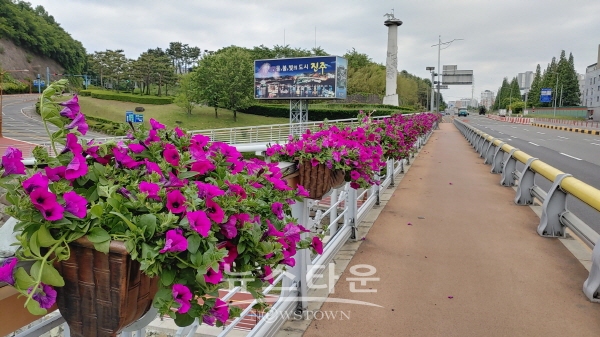 상평교 난간에 설치된 꽃 화분