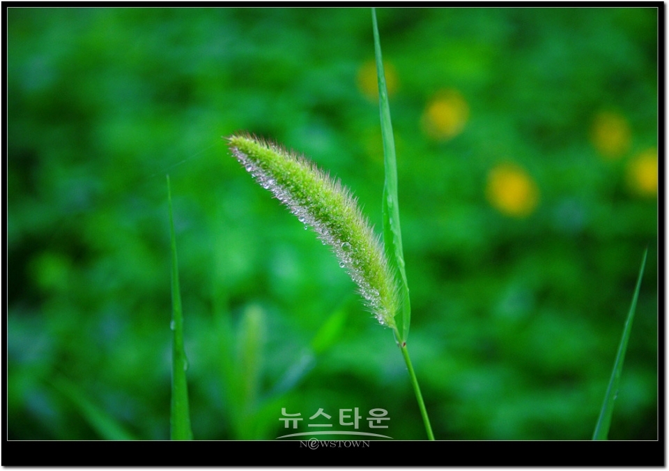 원주시 문막읍 어느 농촌지역마을
