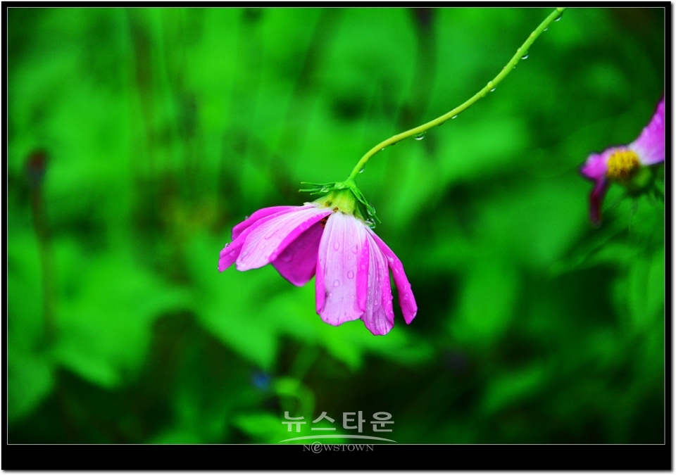 원주시 문막읍 어느 농촌지역마을