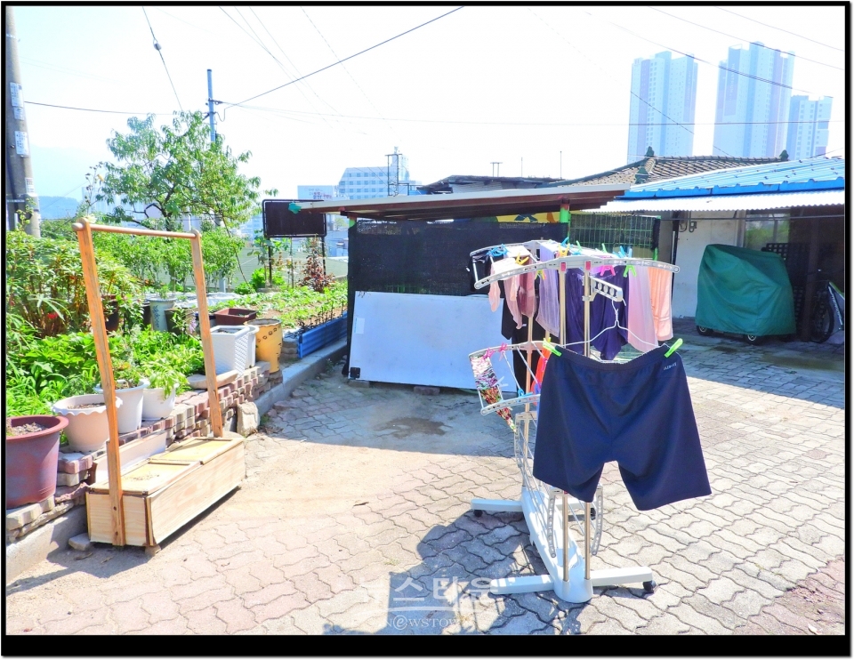 원주시 학성동 희매촌일대