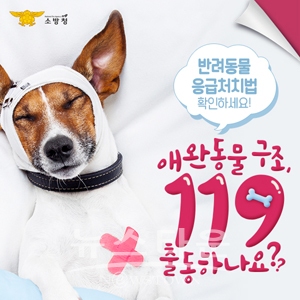 반려동물 응급처치법 홍보