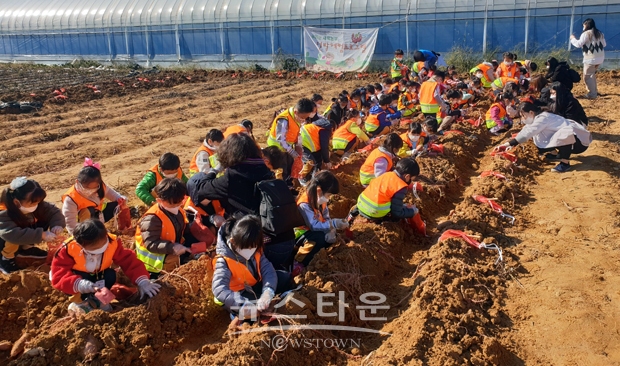 “우리는 새싹농부, 고구마를 수확해요” 텃밭체험프로그램
