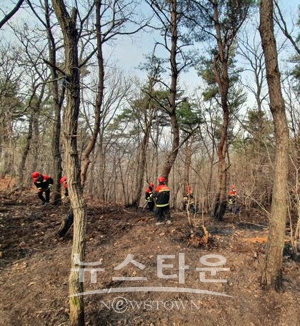 산불전문예방진화대 산불진화