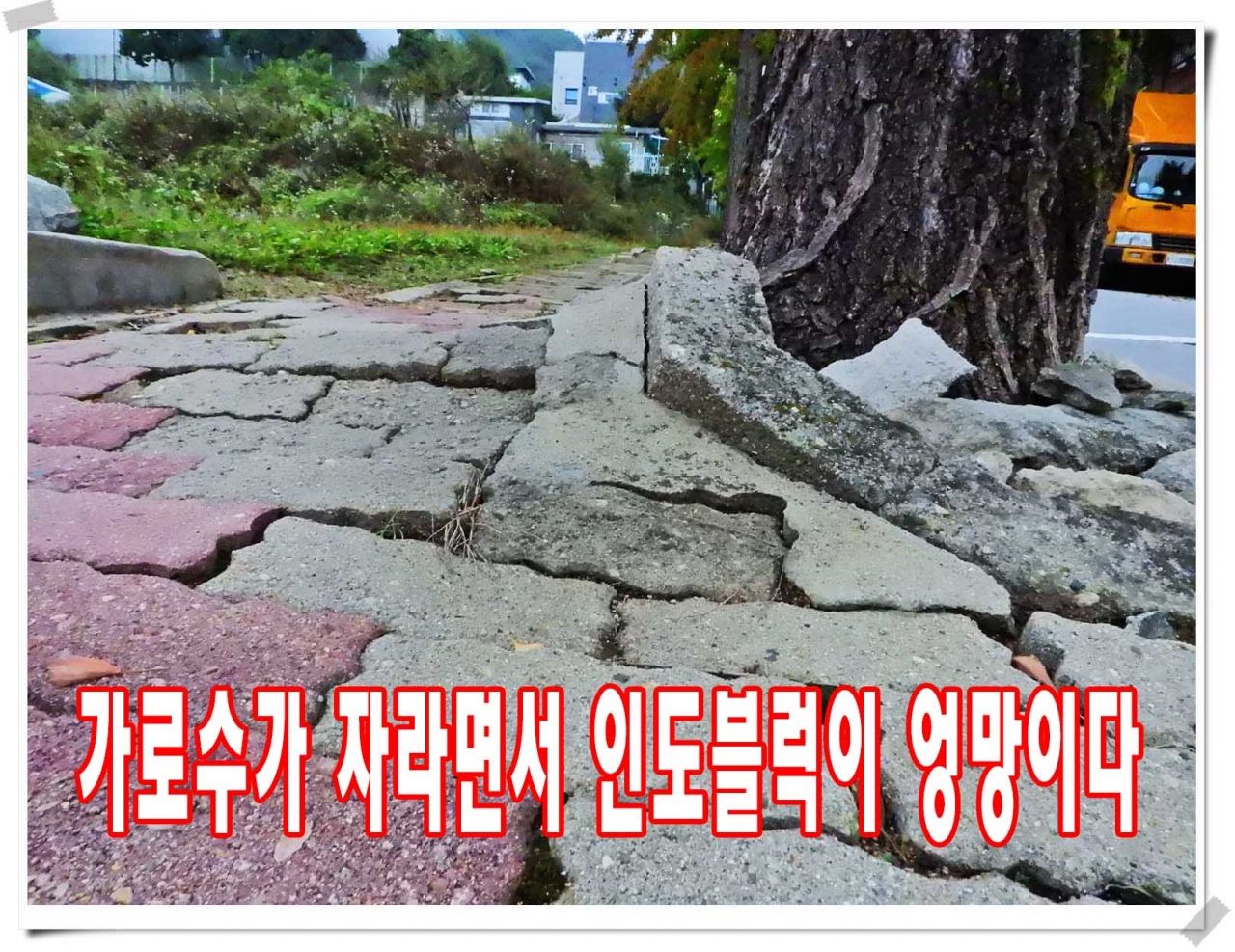 다른세상의 도로현황