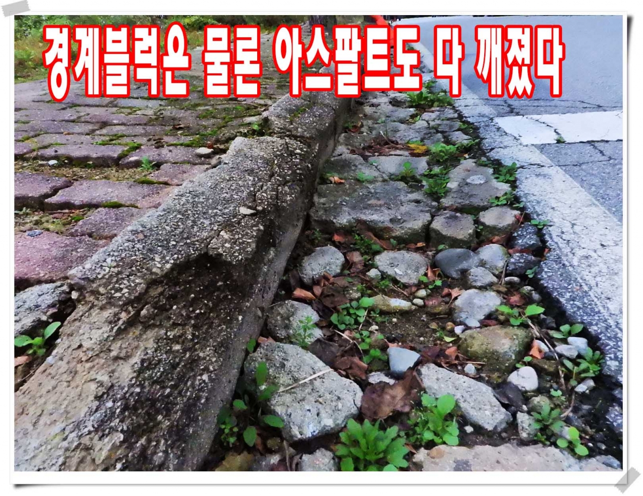 다른세상의 도로현황