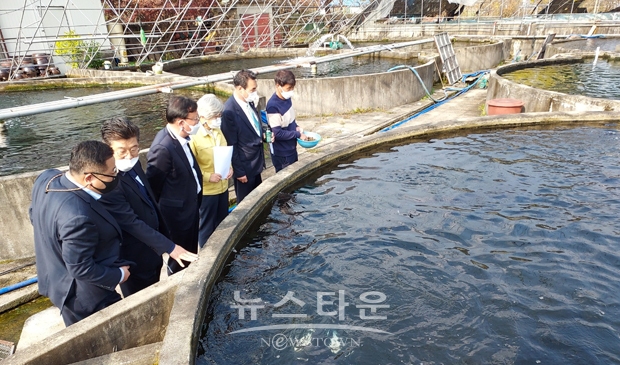청양군은 지난 11월 4일 남양면에 위치한 칠갑상어 양식장으로 김명숙 충남도의원, 조원갑 충남도 해양수산국장 등을 초청해 발전방안을 논의했다.