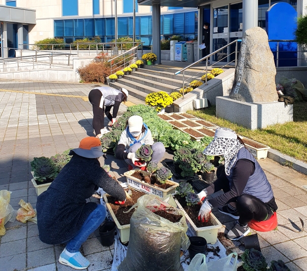 다문화 가정 주민들이 배추꽃을 식재하는 모습