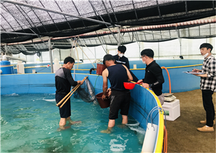 수산종자생산 현장 확인 사진