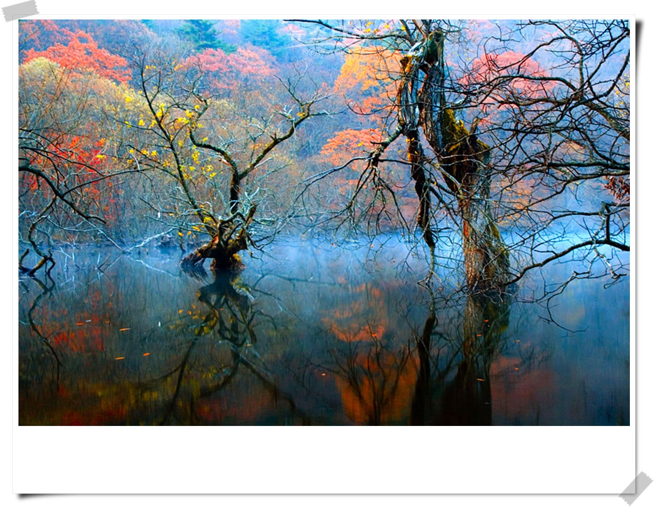 주산지