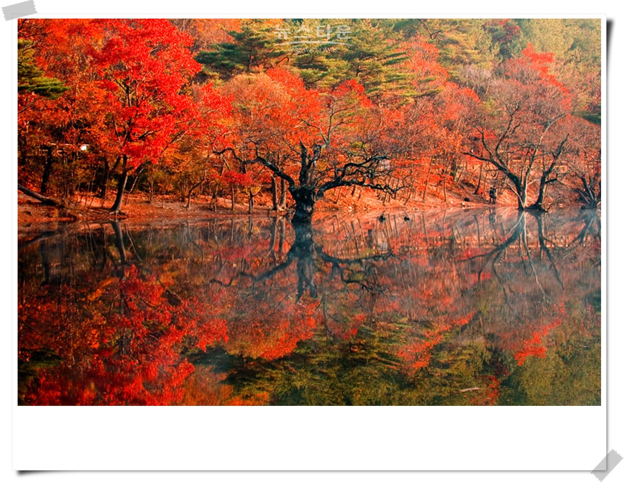 주산지