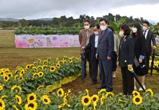 지난 10월 개최된 경주 지역 최대 원예축제인 ‘황금정원 나들이’ 모습. 이 축제에서만 지역에서 생산된 화훼 1만5000본이 소비됐다.