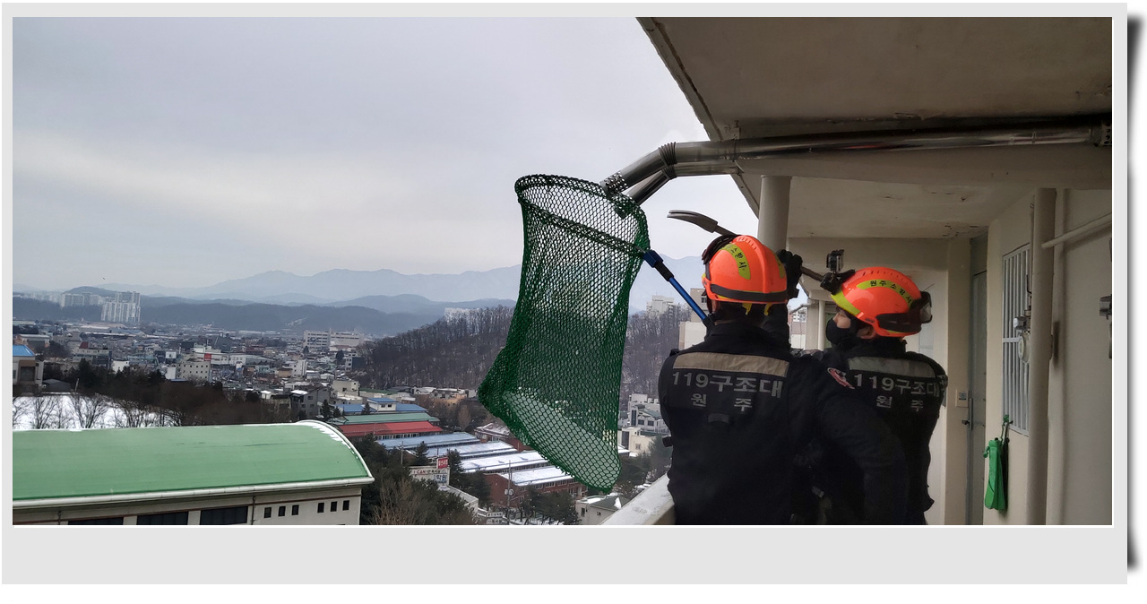 지난해 구조활동장면