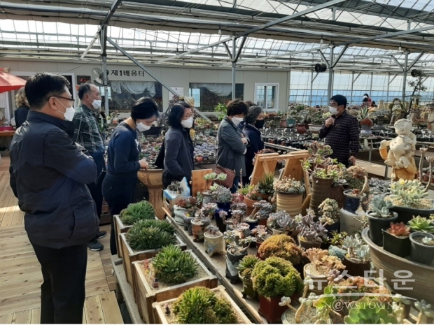 사진 : 군산농업기술센터