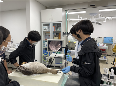 야생동물 생태교육 사진