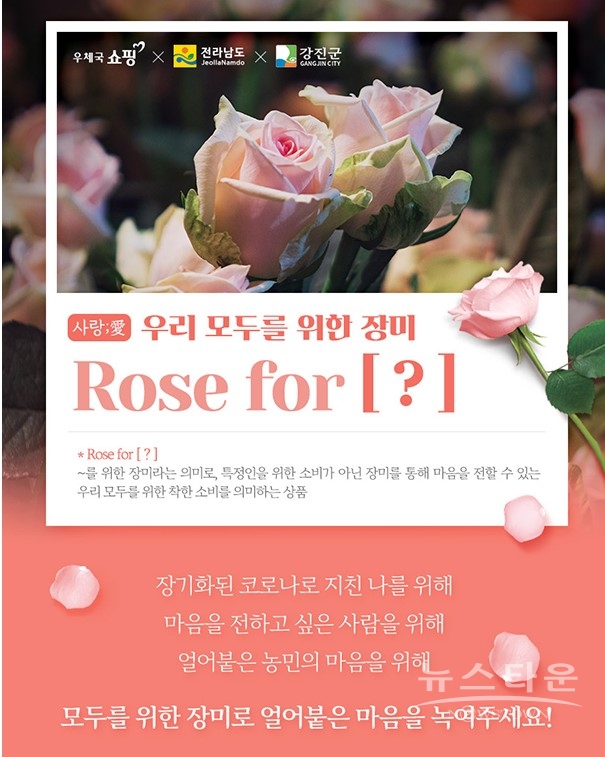 청자골 장미 온라인 화훼 특별 기획전 개시 포스터