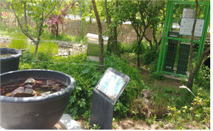 경명초등학교