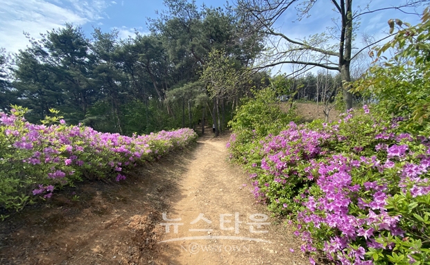 내포문화숲길(백제부흥군길)