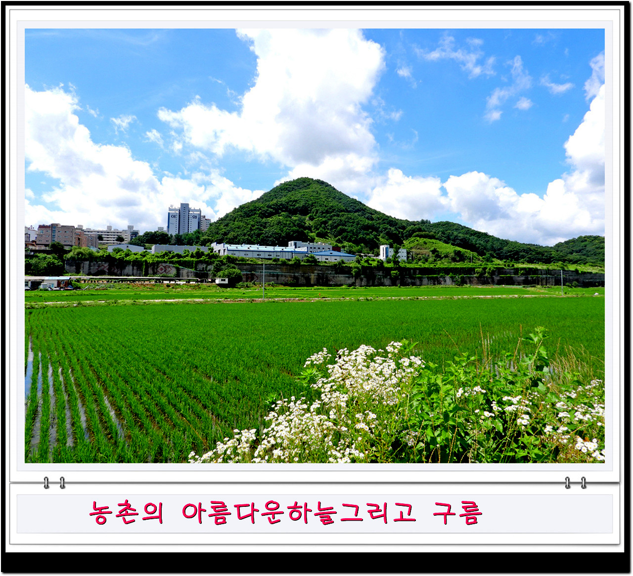 비온뒤 깔끔한 하늘과 농촌풍경비가 오고 난 뒤면 농촌의 하늘을 자랑한다.