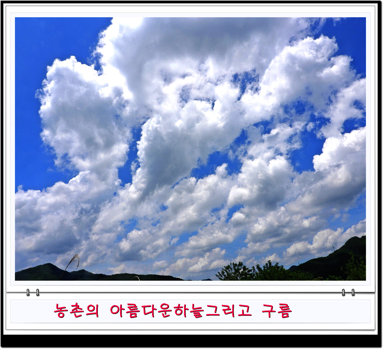 비온뒤 깔끔한 하늘과 농촌풍경비가 오고 난 뒤면 농촌의 하늘을 자랑한다.