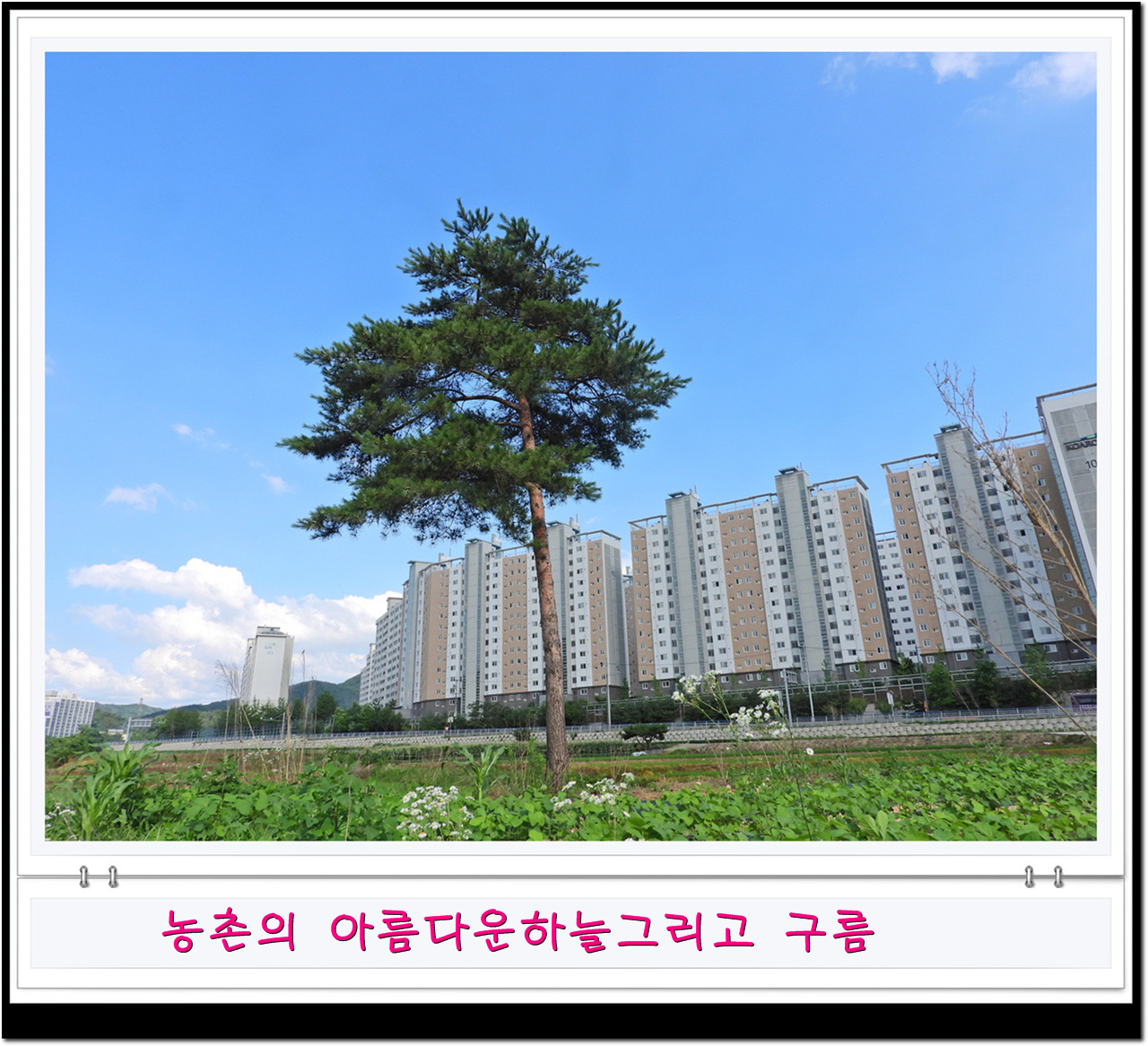 비온뒤 깔끔한 하늘과 농촌풍경비가 오고 난 뒤면 농촌의 하늘을 자랑한다.