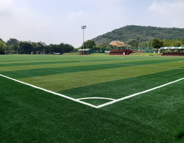 축구장 전경