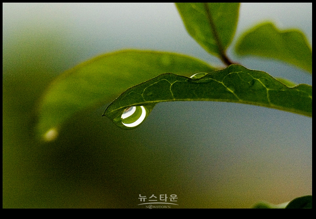 빗방울이 만든 아트전시회