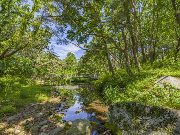 치유의_숲_이동다리