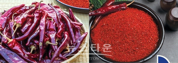 청양고추