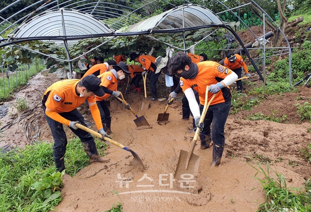 수해복구 일손 돕기