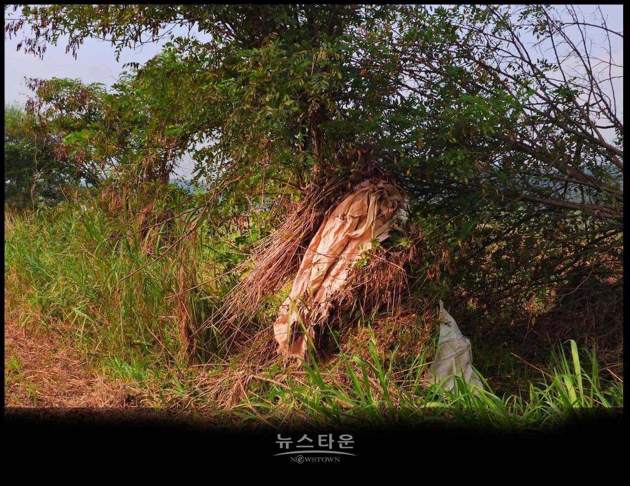 원주섬강 장마가 지나간 후 장면
